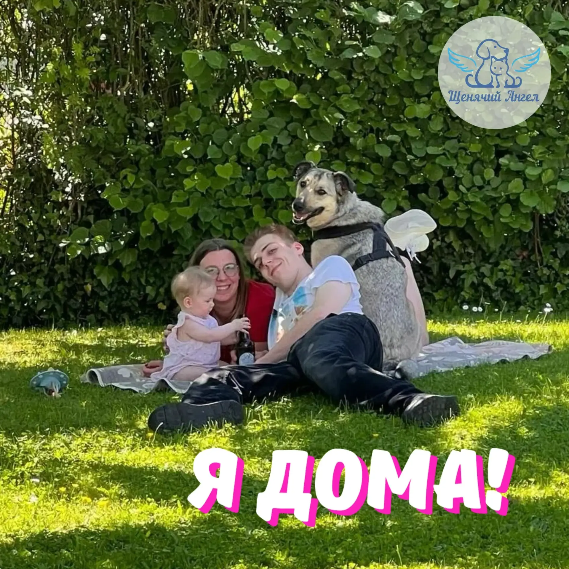 ЧАК – Я ДОМА🏡

Друзья, эту новость мы ждали больше семи лет: наш Чак дома ✨.

В приюте он оказался 