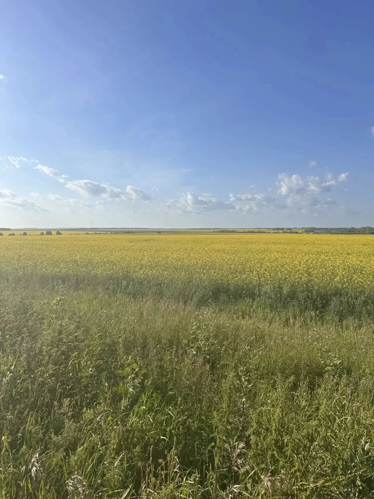 Я снова здесь — и, честно, мне этого не хватало🤍