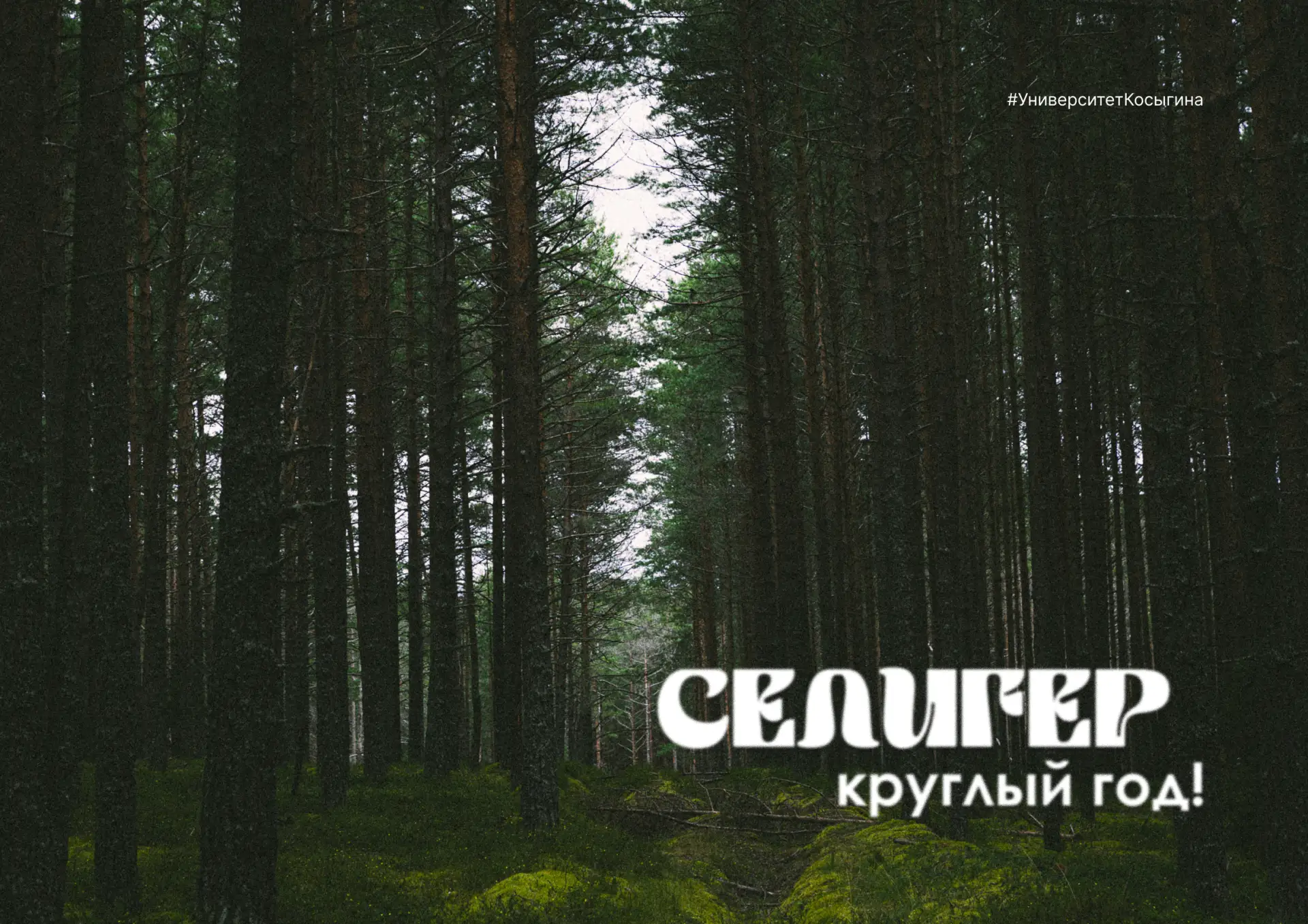 🌱 В лесу хорошо именно тем, что можно просто идти, слушать птиц и не думать ни о чем.

#РГУимКосыги