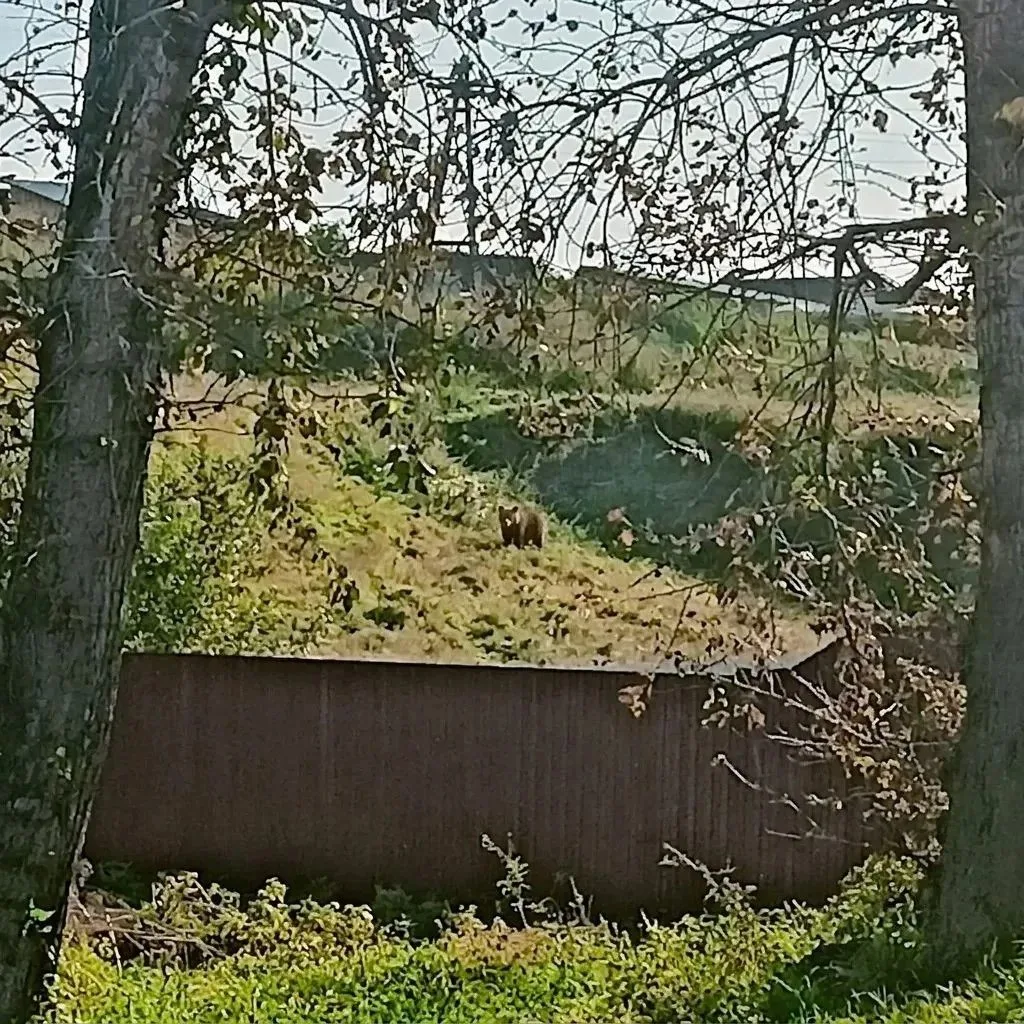⚠️ Важное предупреждение для жителей с.Тасеево!