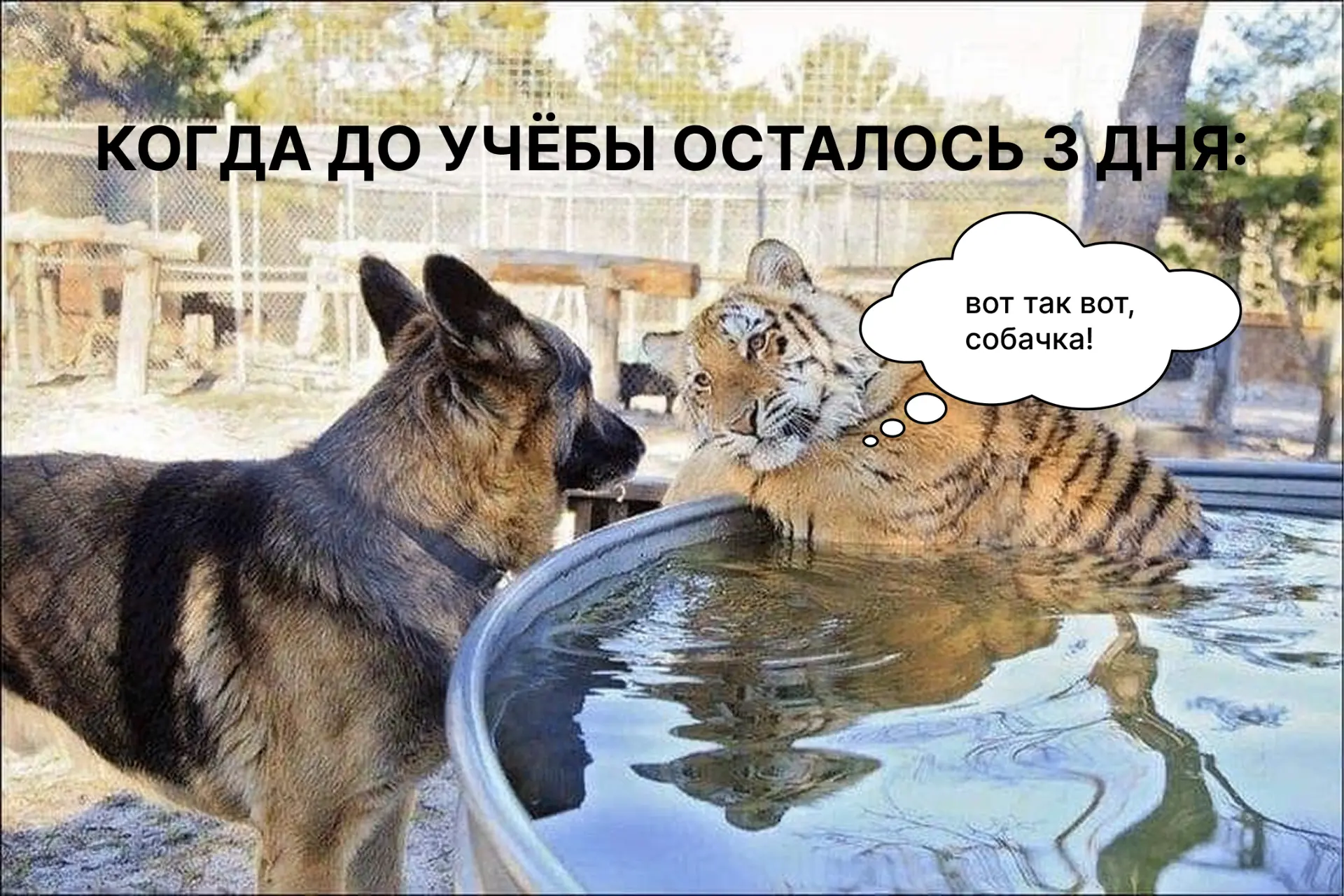 Привет, студент! 🎓