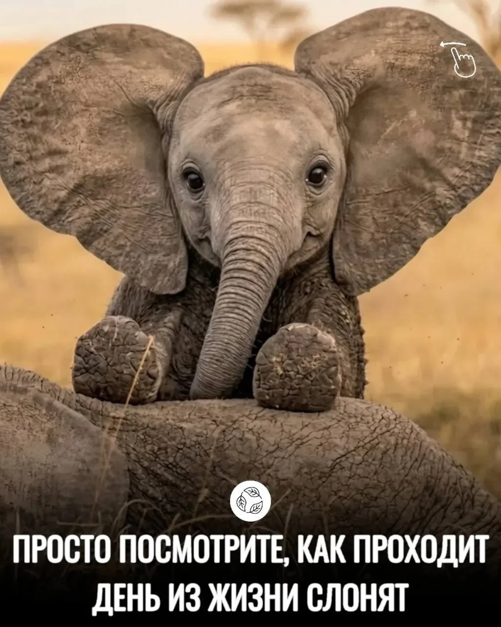 📌ЗНАЕТЕ ЛИ ВЫ, ЧТО..?