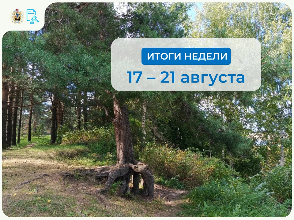 📊За прошедшую неделю агентством⤵️