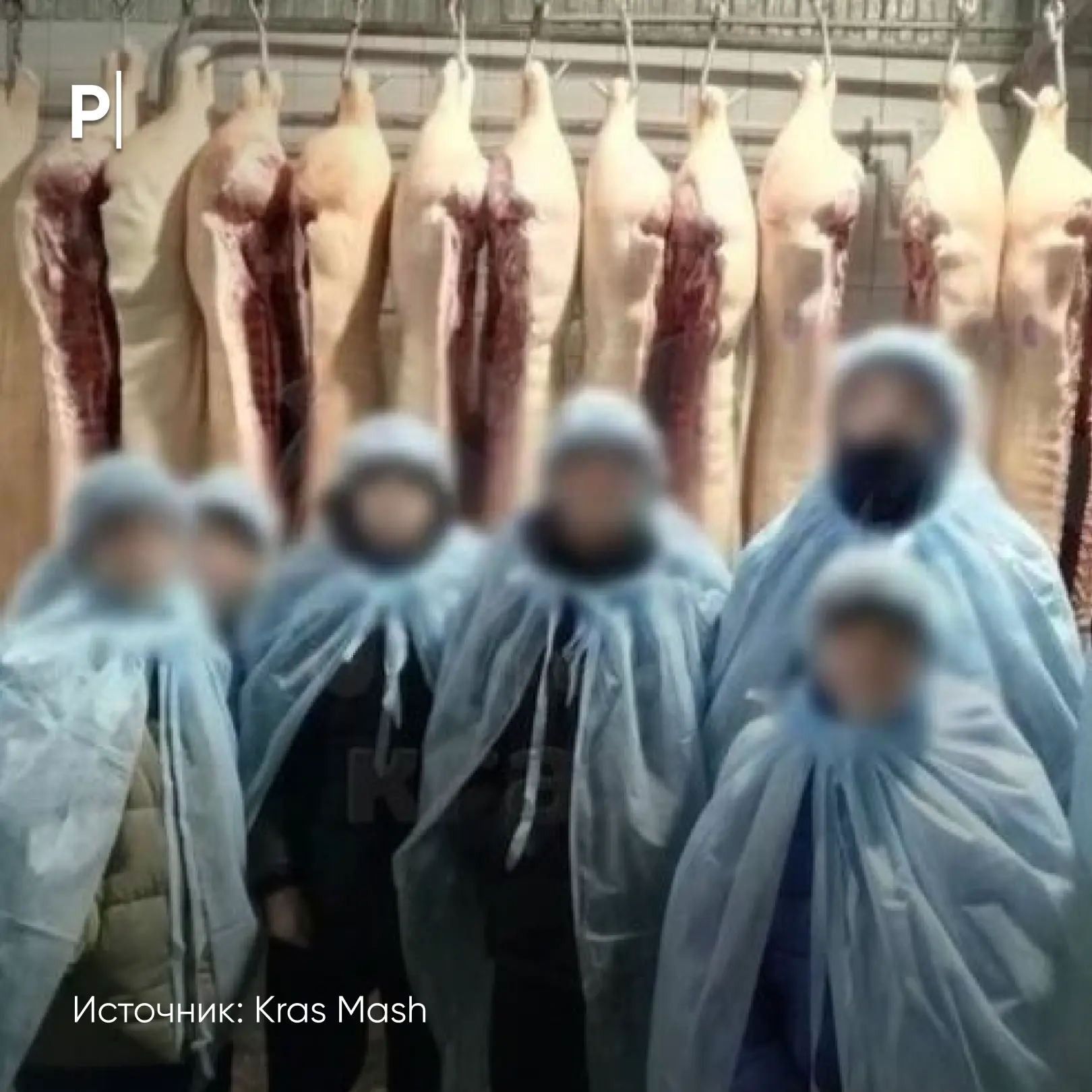 🥩 В Красноярском крае восьмиклассников сводили на экскурсию по скотобойне и сфотографировали рядом с