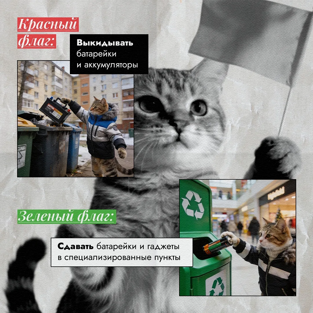 🚩 Красный флаг или 🟢 зеленый? Проверим знания?  Мы решили расставить все на свои места и запустили с