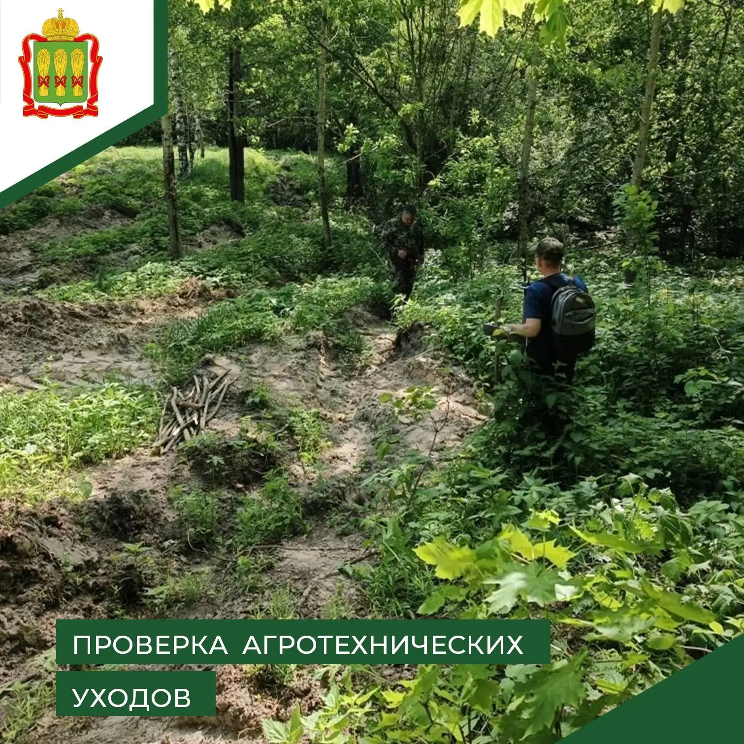 🌱 Специалистами Шемышейского лесничества была проведена проверка качества выполнения а...