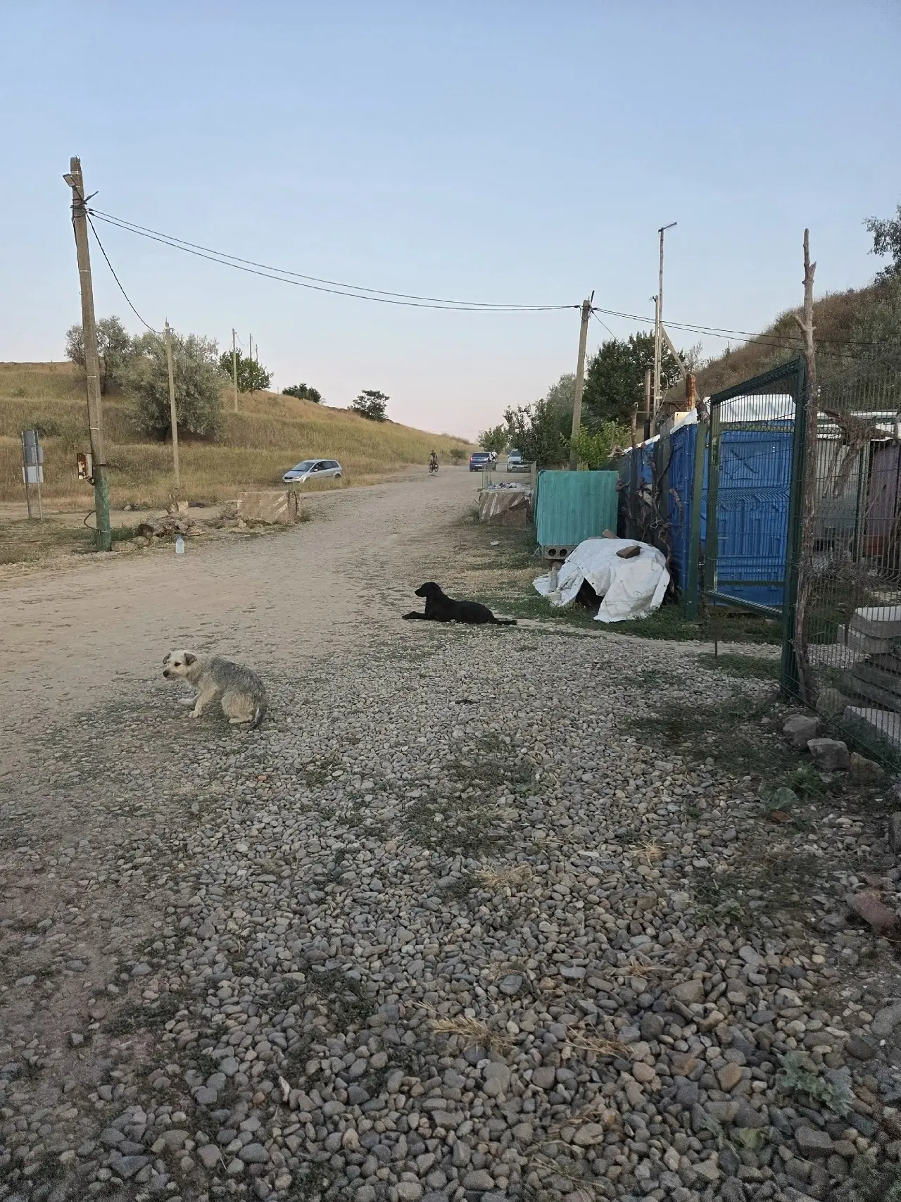 Куда денут собак после того как снесут базу Магия заката?

Прислать новость


Подпишись на ЧПЕЙСК