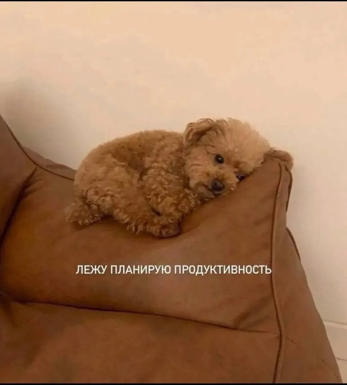 Как проходит ваш вечер пятницы?😂