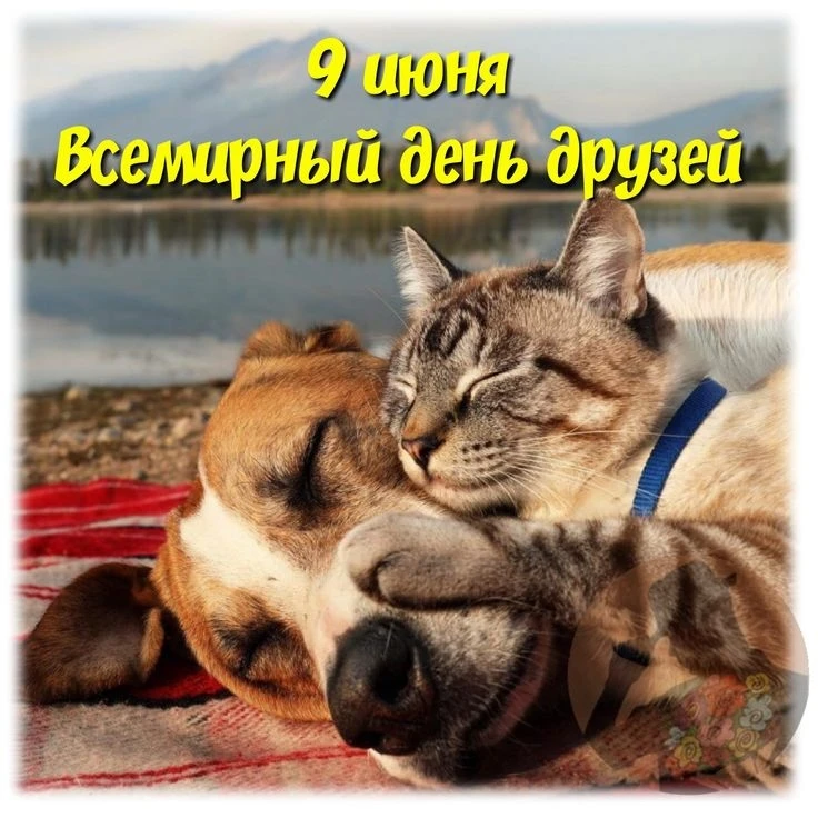 #интересно
