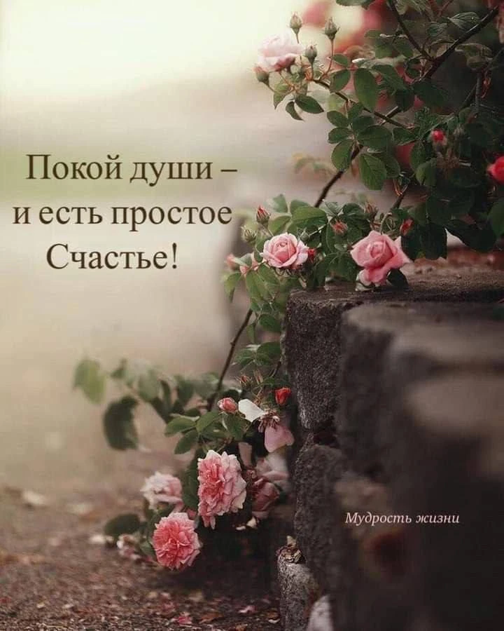 Как управлять своей энергией