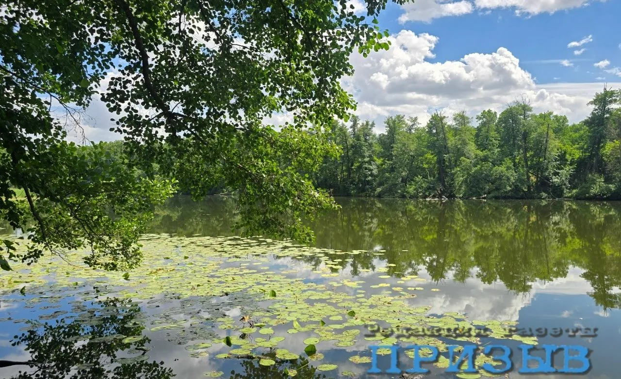 Доброе утро, Михайловка!