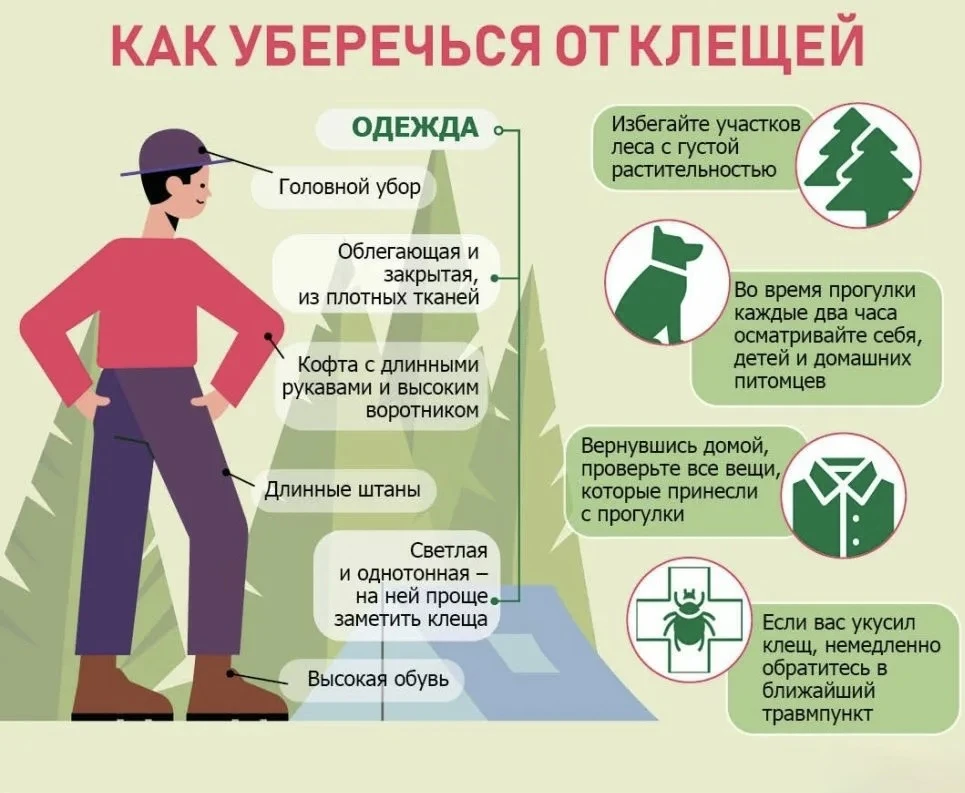 Здоровье в деталях: как уберечься от укуса клеща❗️