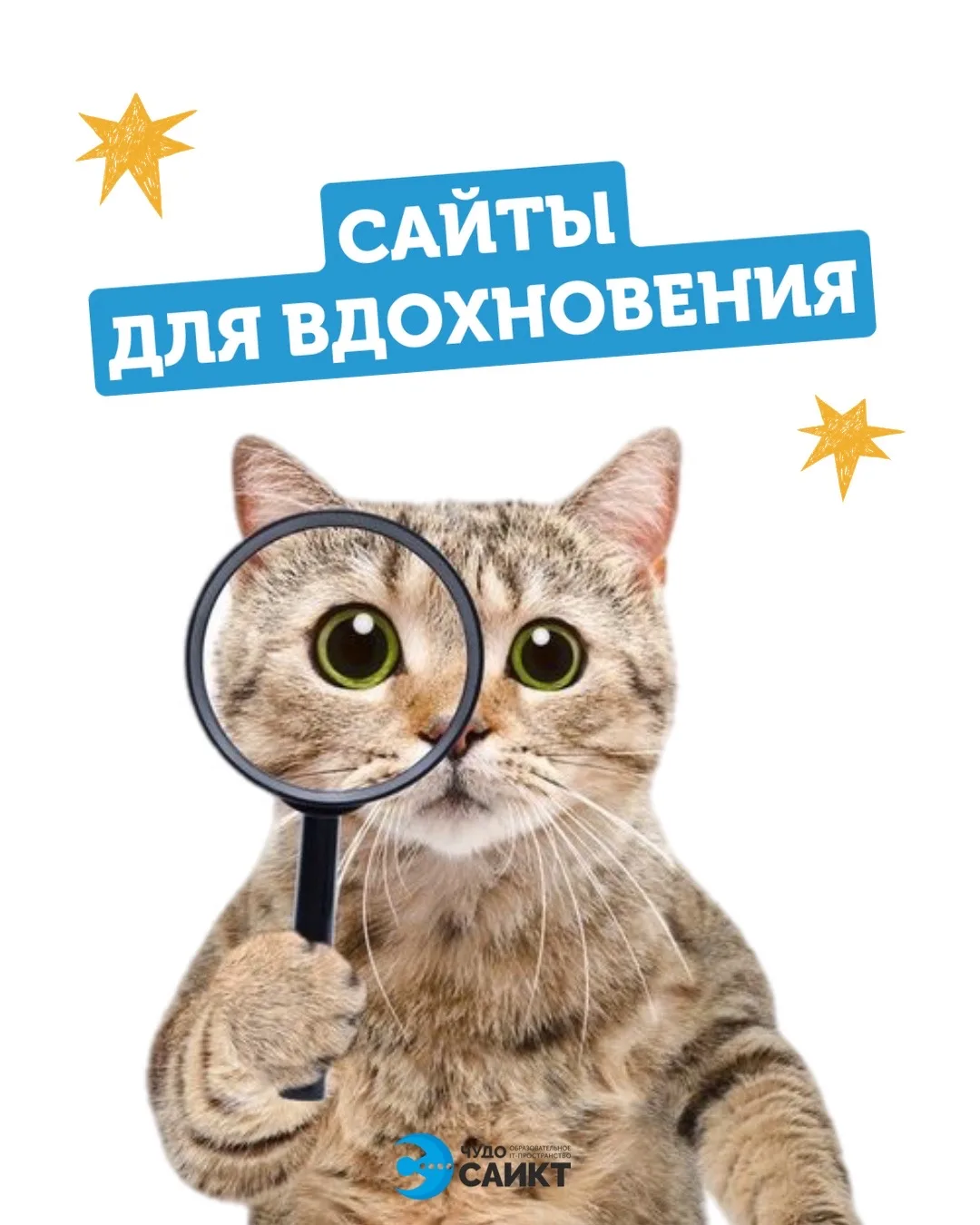 👾Сайты для вдохновения, которые должен знать каждый начинающий программист