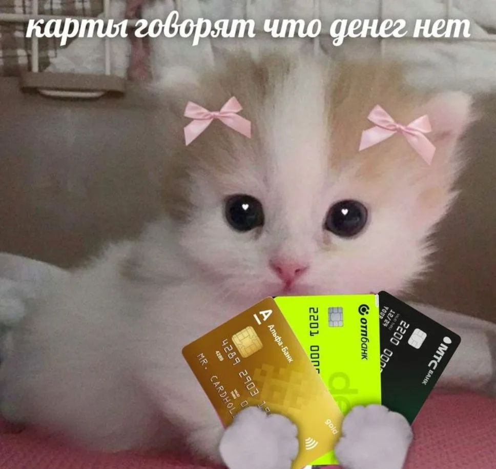 🤑 День «Переведите деньги дочери» празднуют сегодня.