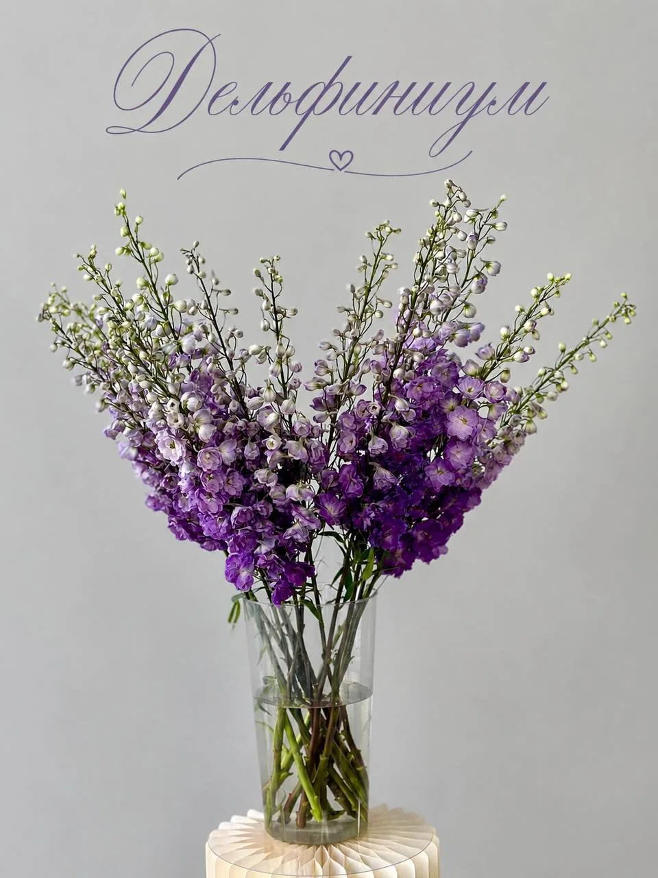 Дельфиниум 🌸
Этот необычный цветок сразу привлекает внимание своими длинными цветущими стеблями и н