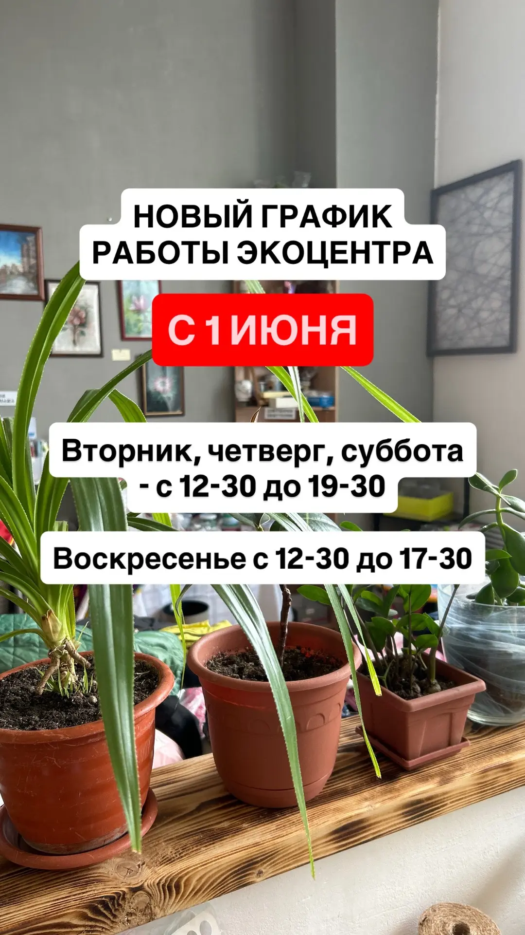 С 1 ИЮНЯ МЫ МЕНЯЕМ ГРАФИК РАБОТЫ НА ЛЕТО🌞