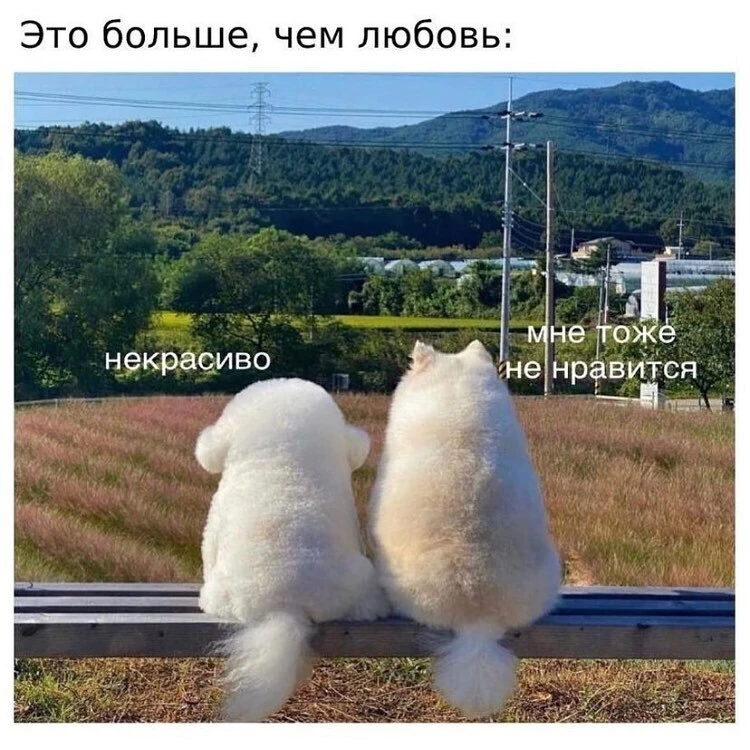 ____________________