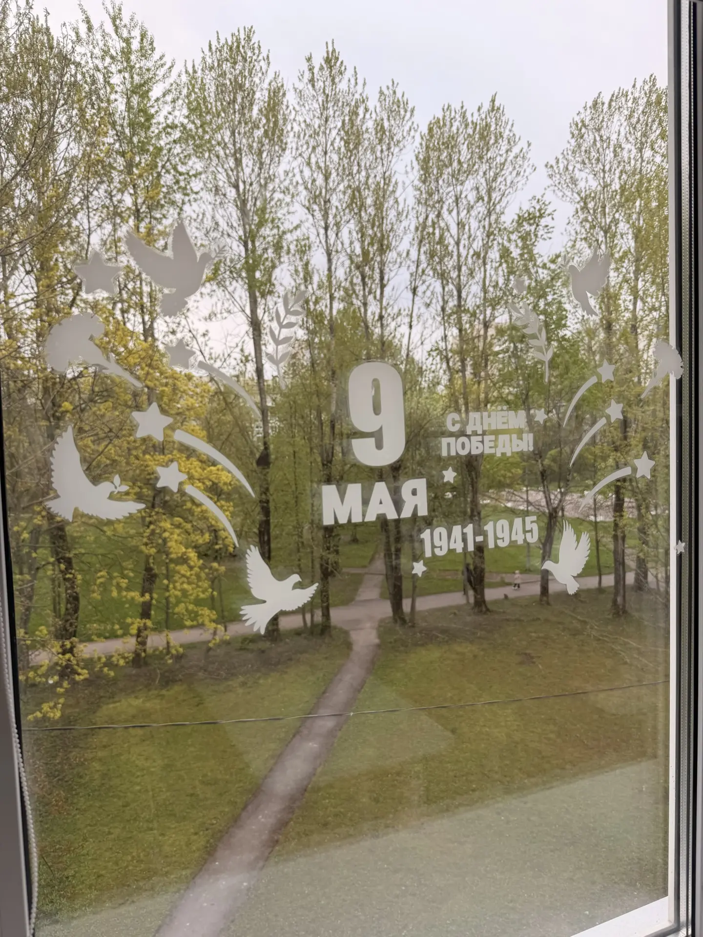 🕊️ОКНА ПОБЕДЫ 🕊️  В преддверии 9 Мая окна нашей школы украсила трогательная акция «Окна Победы».   К