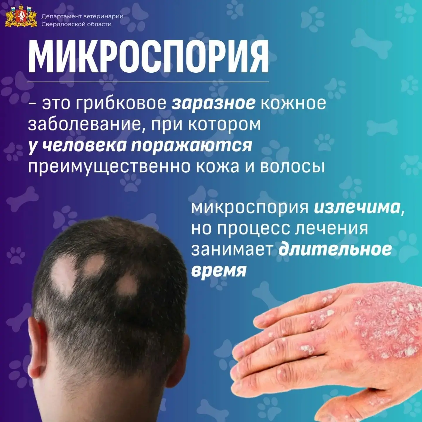 🦠 Микроспория («стригущий лишай»)