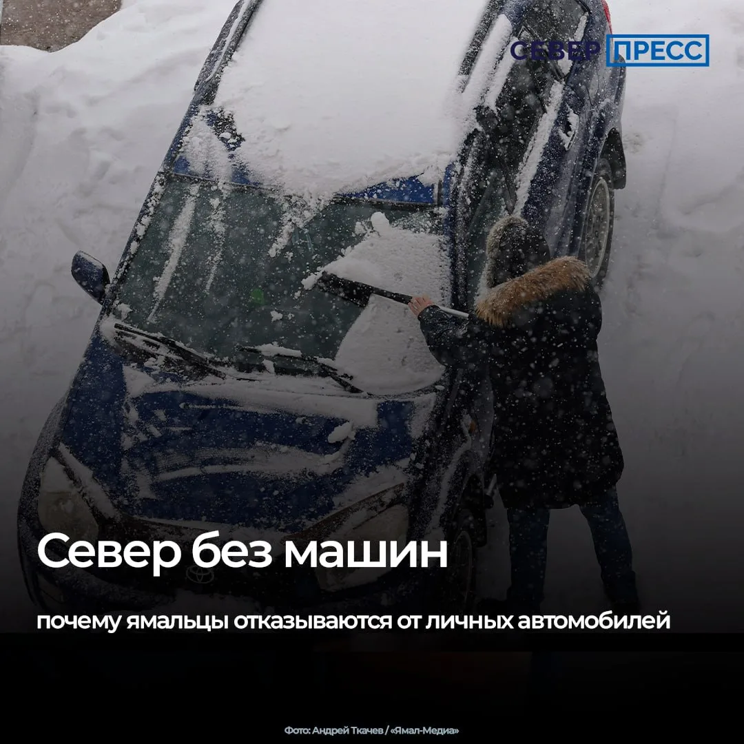 Всемирный день без автомобиля отмечается ежегодно 22 сентября. В крупных городах личный...
