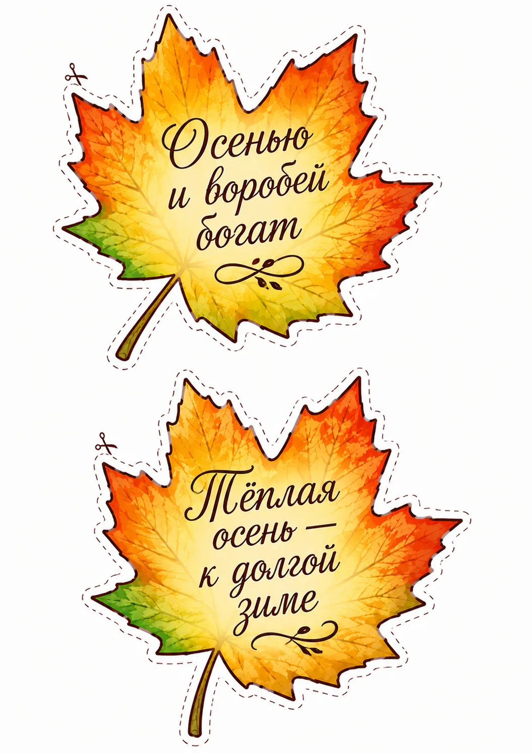 Кленовые листья с приметами и поговорками🍁