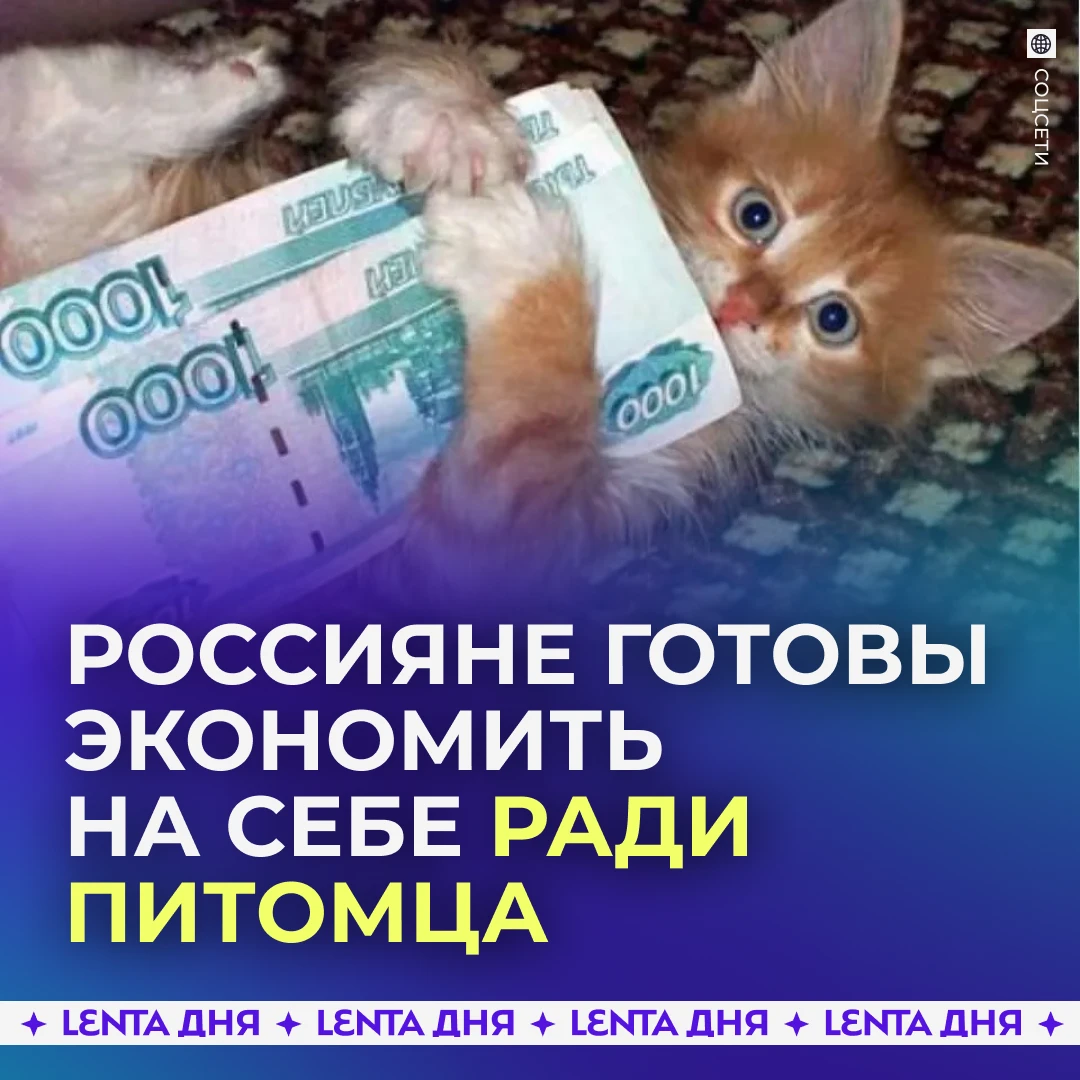 🐾 16% россиян тратят на питомцев больше, чем на себя.