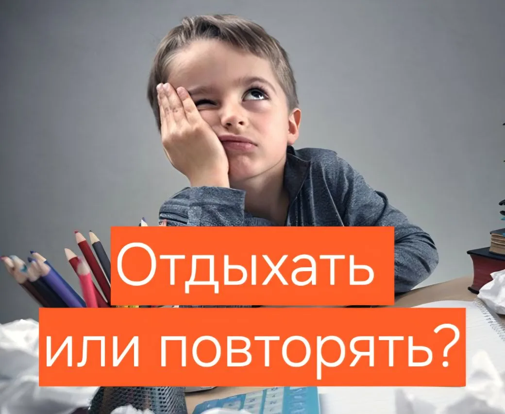 📚 Учеба летом или 3 месяца свободы: окончательный ответ