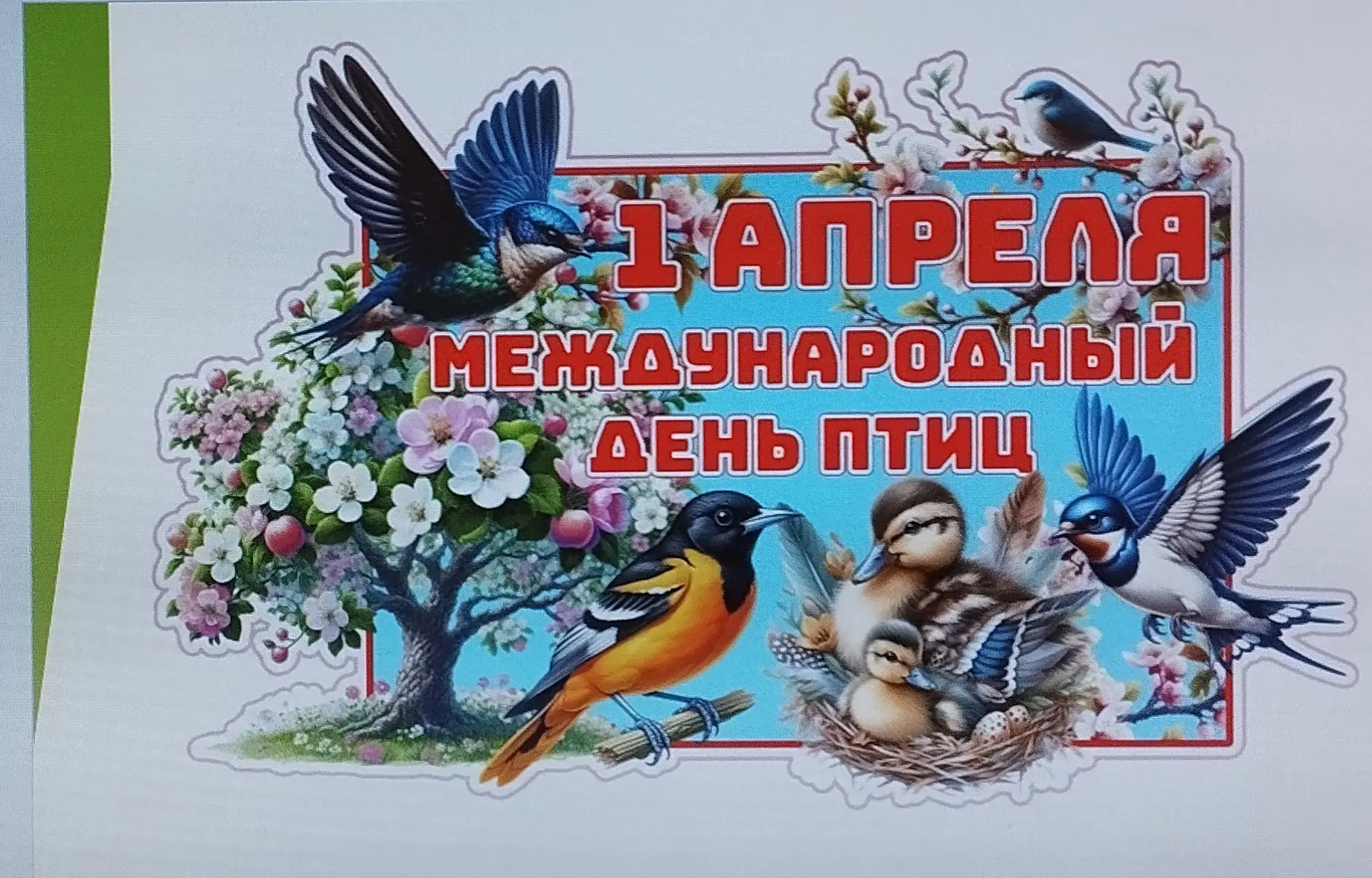 🐦 Ежегодно 1 апреля отмечается Международный день птиц.
