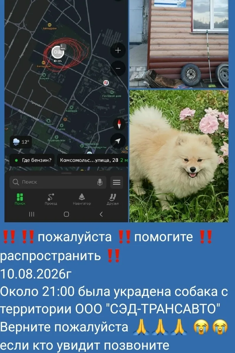 Опубликуйте пожалуйста 🙏🙏🙏
