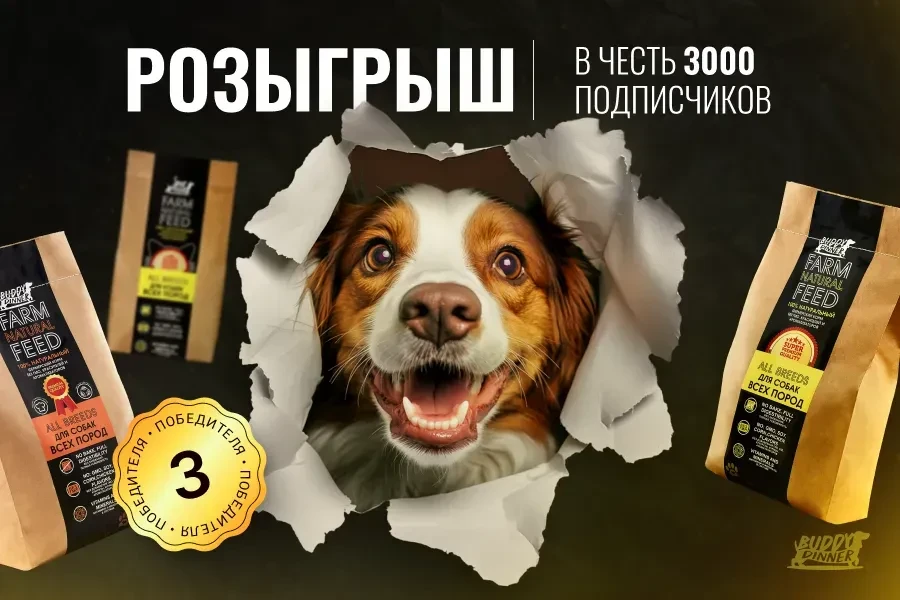 🎁 РОЗЫГРЫШ В ЧЕСТЬ 3000 ПОДПИСЧИКОВ!

Разыгрываем 3 кг супер-премиум корма BUDDY DINNER (по 1 кг ка