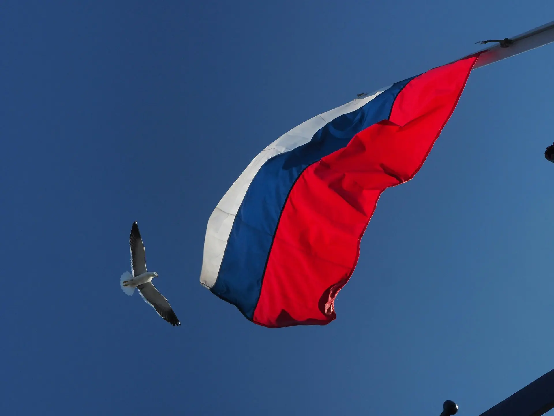 С Днём России!

12 июня — день нашей страны. За этим словом — огромное пространство от Балтики до Ти