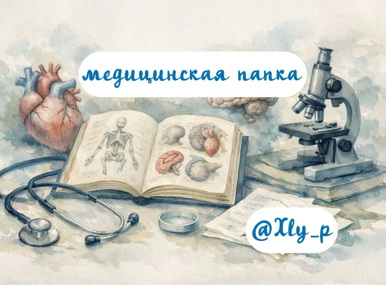 🌟Для вас мы собрали папку с интересными медицинскими каналами 🌟