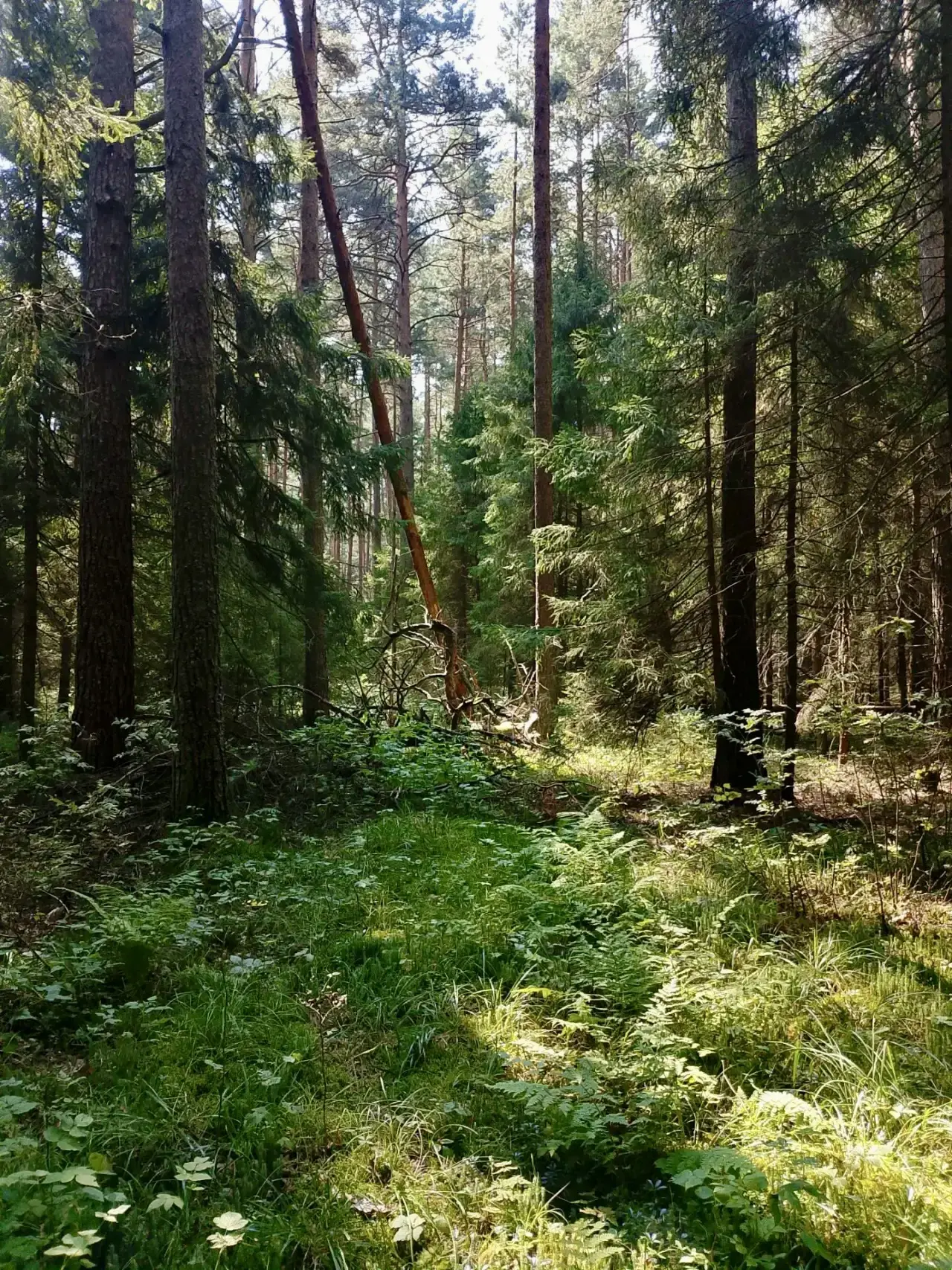 Доброе утро ☀️