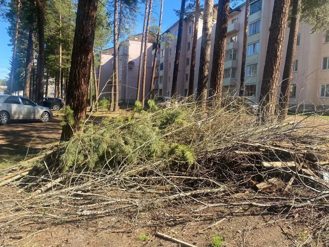 🧹 В поселениях Нижнеилимского округа продолжаются работы по уборке и благоустройству территорий.  🌱 