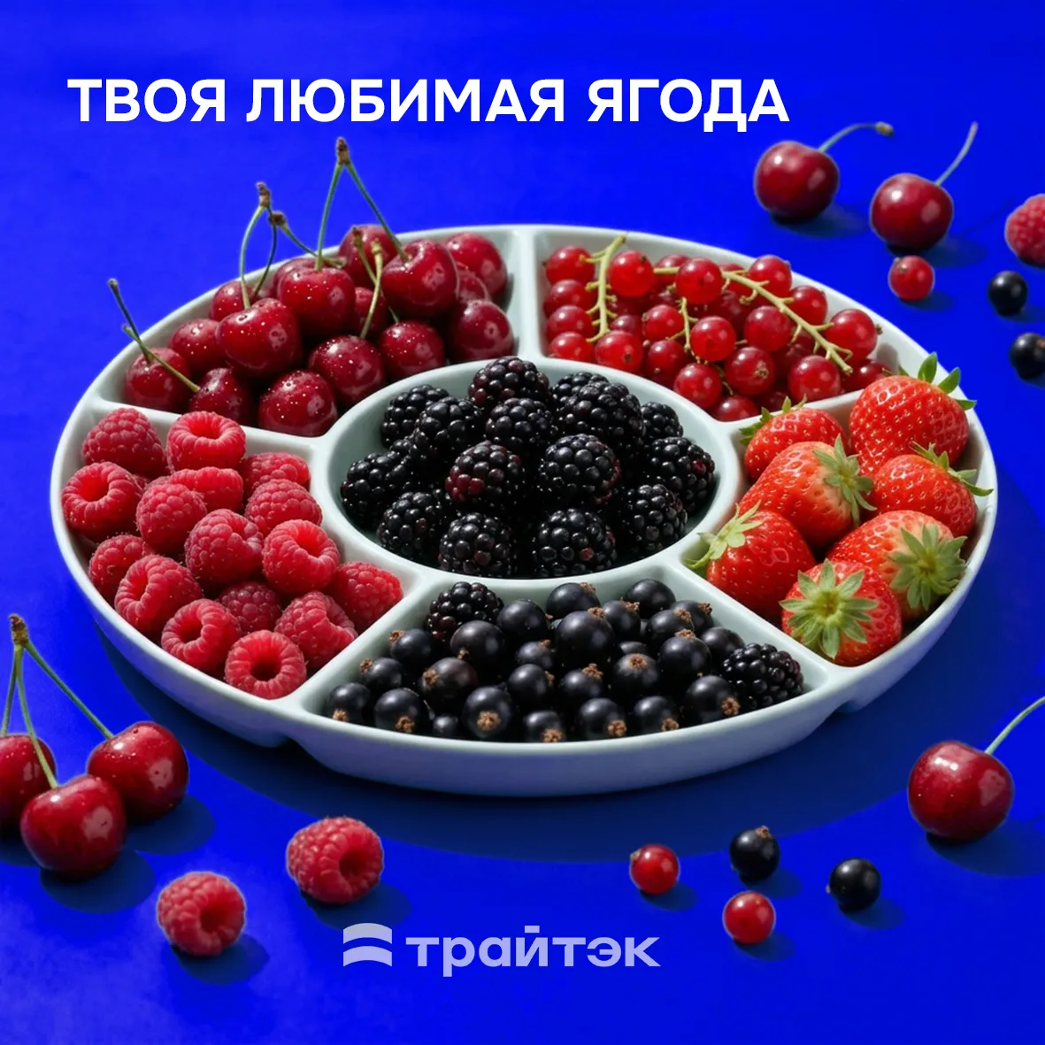 Спор на даче: малина, клубника или смородина — кто главная ягода сезона? Ваш голос решит всё!

Выбир