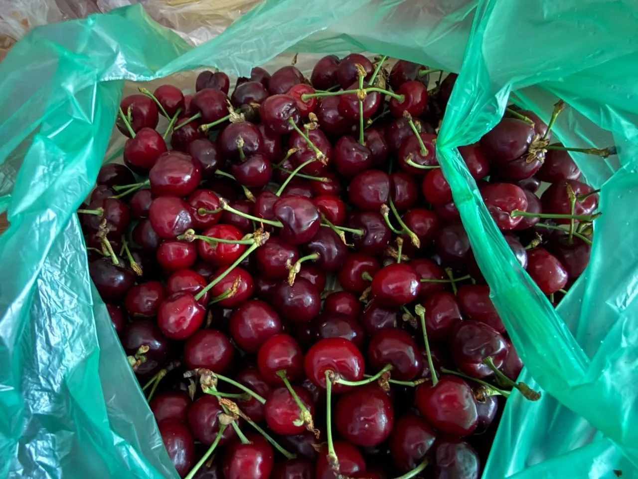 🍒 Россияне стали реже покупать черешню

Продажи черешни в России в конце мая — начале июня упали по