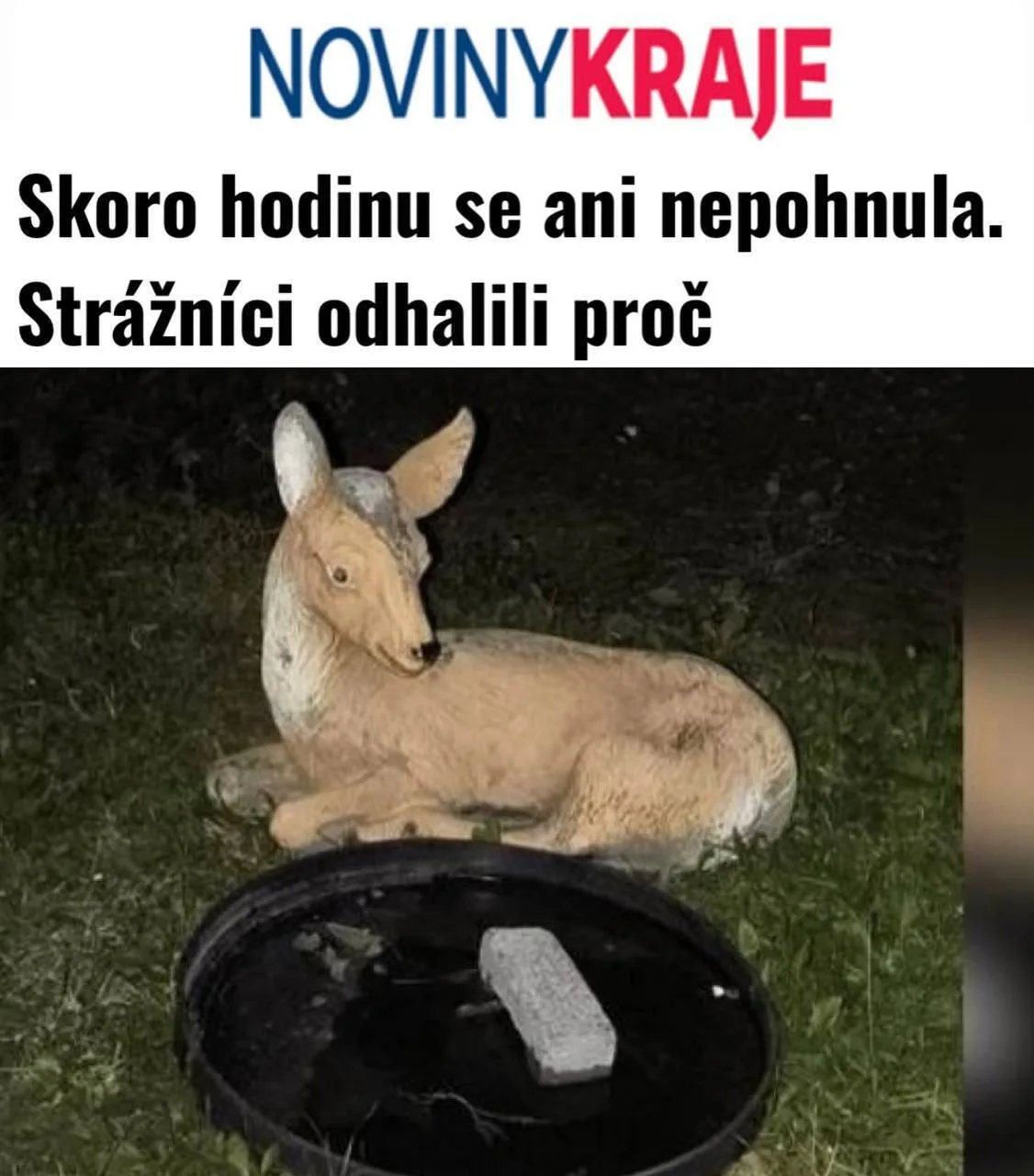 😄 «Почти час не двигалась. Полицейские выяснили причину»: В Чехии час следили за непод...