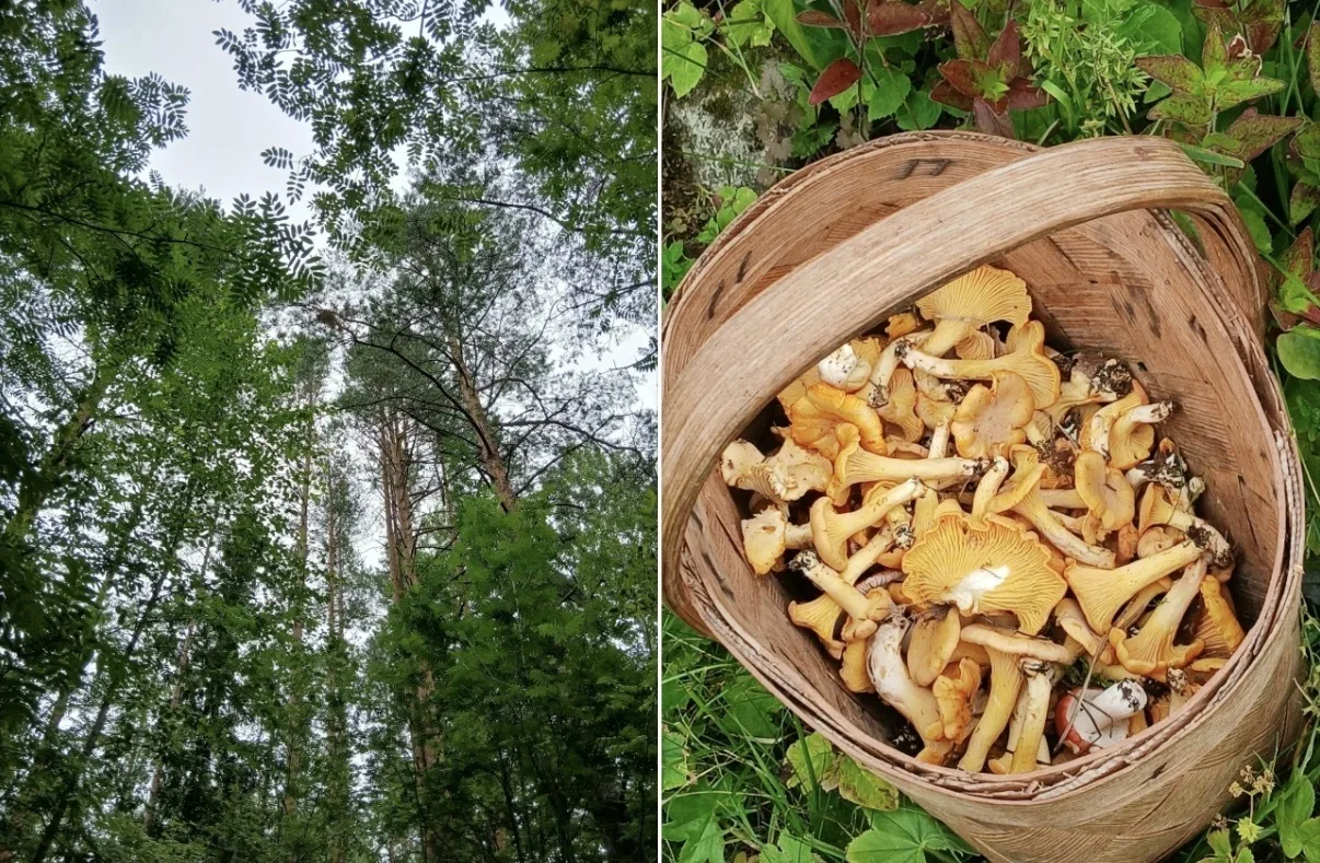 Кировский район