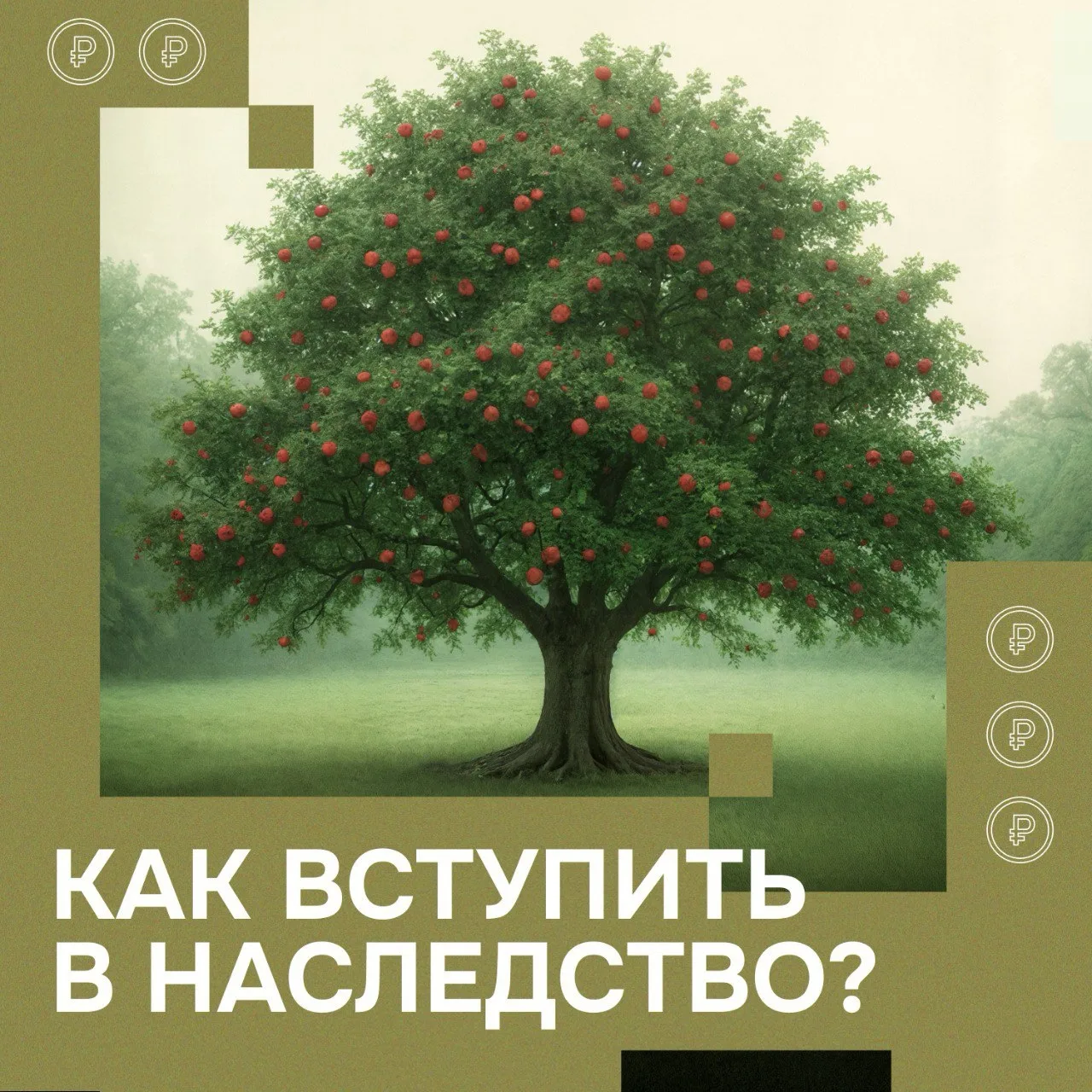 #ХорошийВопрос: Как правильно вступить в наследство? 🏡