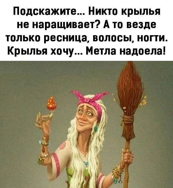 Северный Мишка
