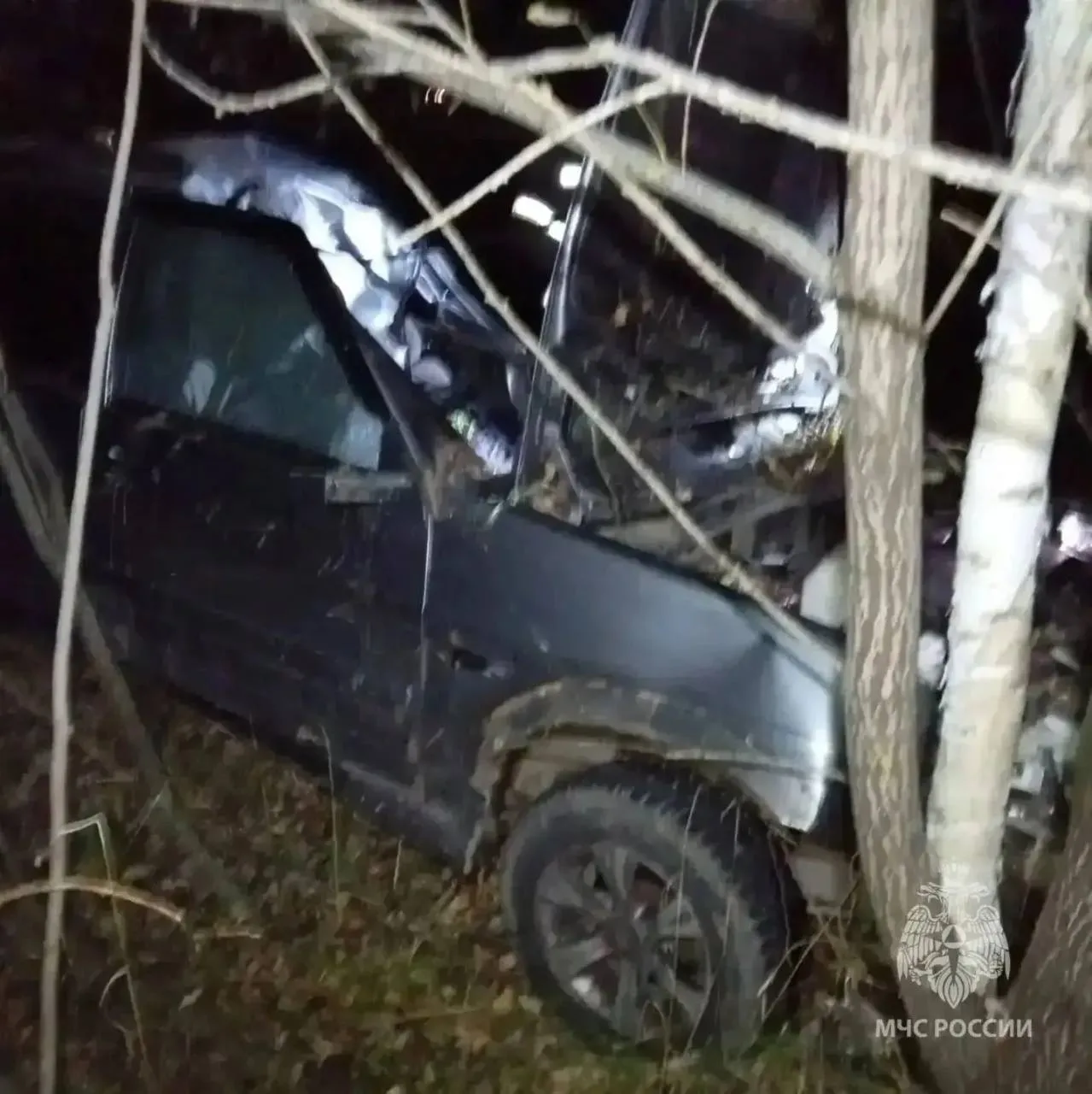 🚗 Водитель погиб, когда авто врезалось в лошадь