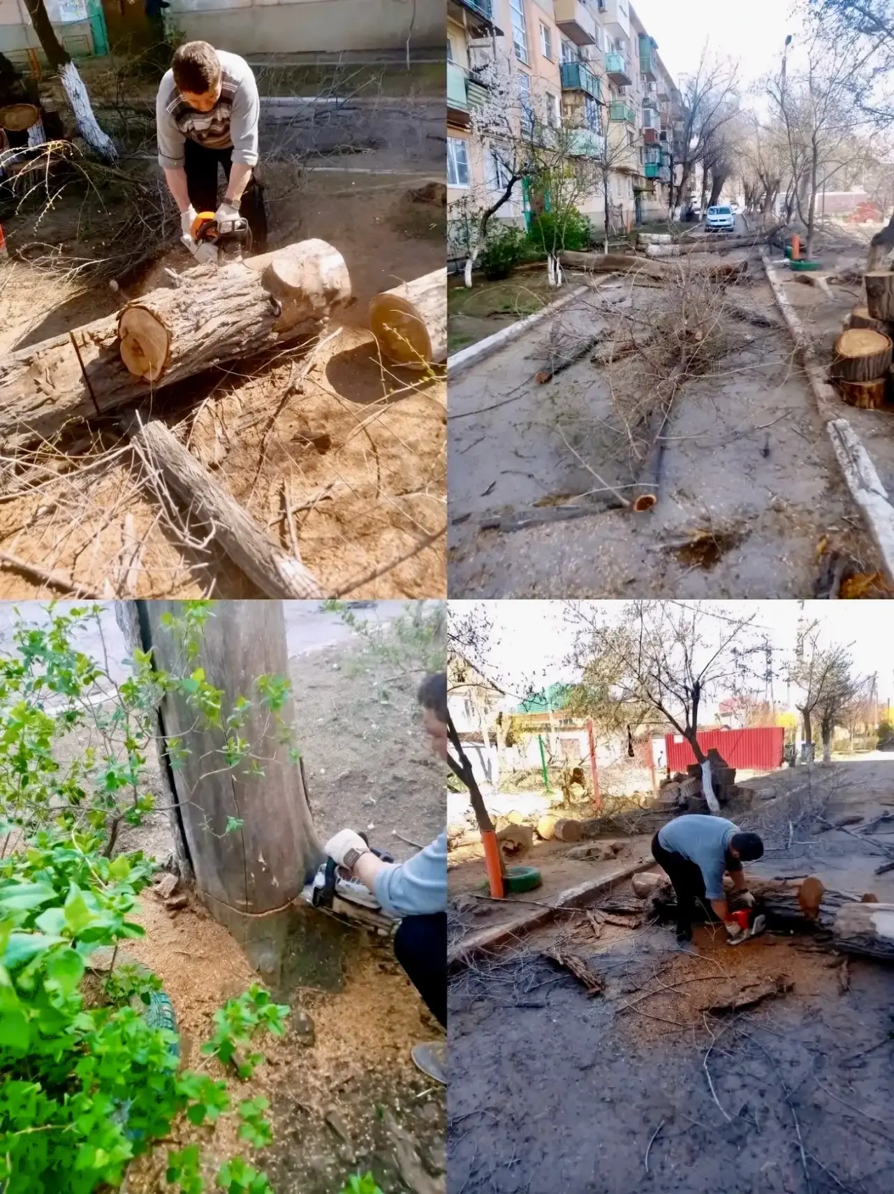 К новости «🌳 Весеннее обновление на Яблочкова, д. 2б!»