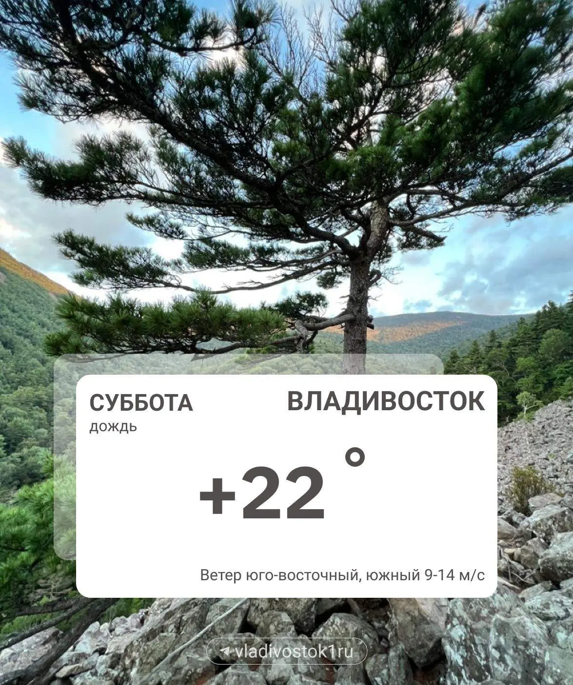 Погода 29 августа.