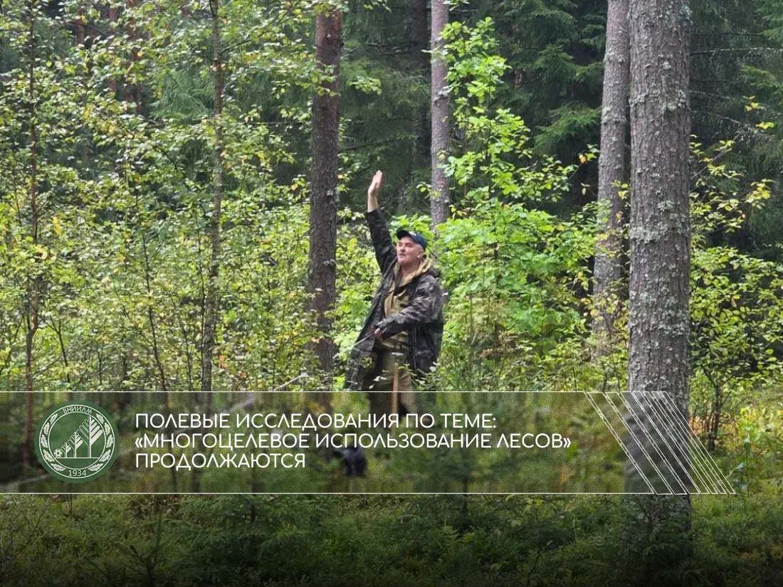 Полевые исследования по теме: «Многоцелевое использование лесов» продолжаются