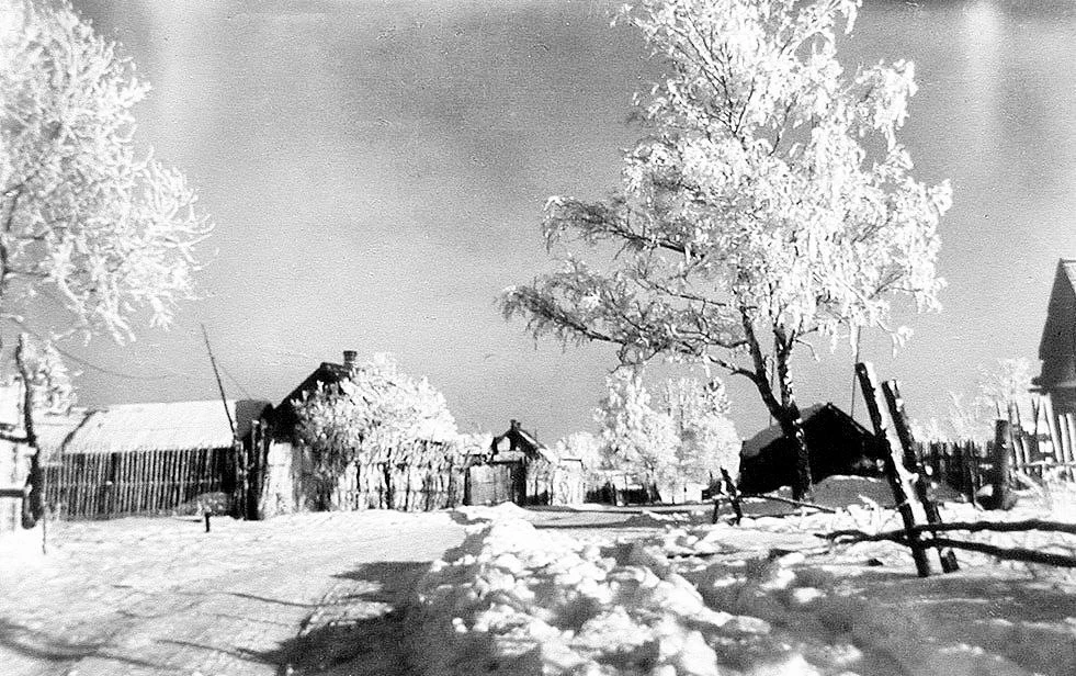 Русская зима - фотография полкового связиста вермахта Асмуса Реммера, Калужская область...