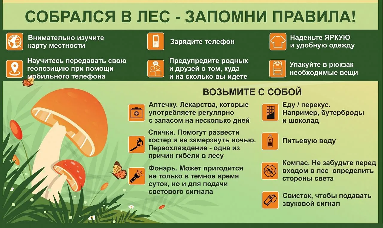 Памятка населению при сборе ягод и грибов ⚠️⁣