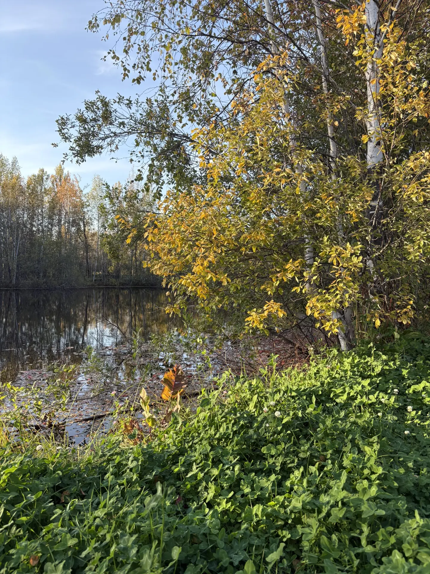 ☀️ Доброе воскресное утро!