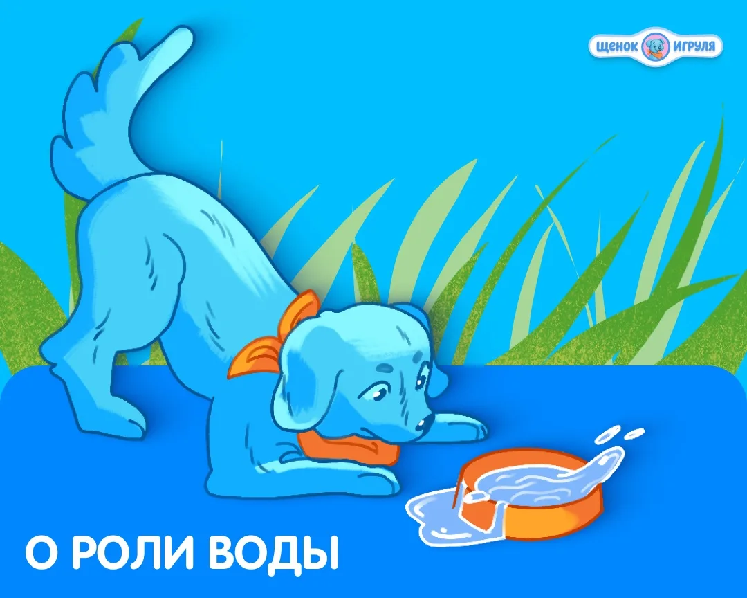 О роли воды 💧

Говоря о питании, мы часто сосредотачиваемся на белках, жирах и витаминах, забывая