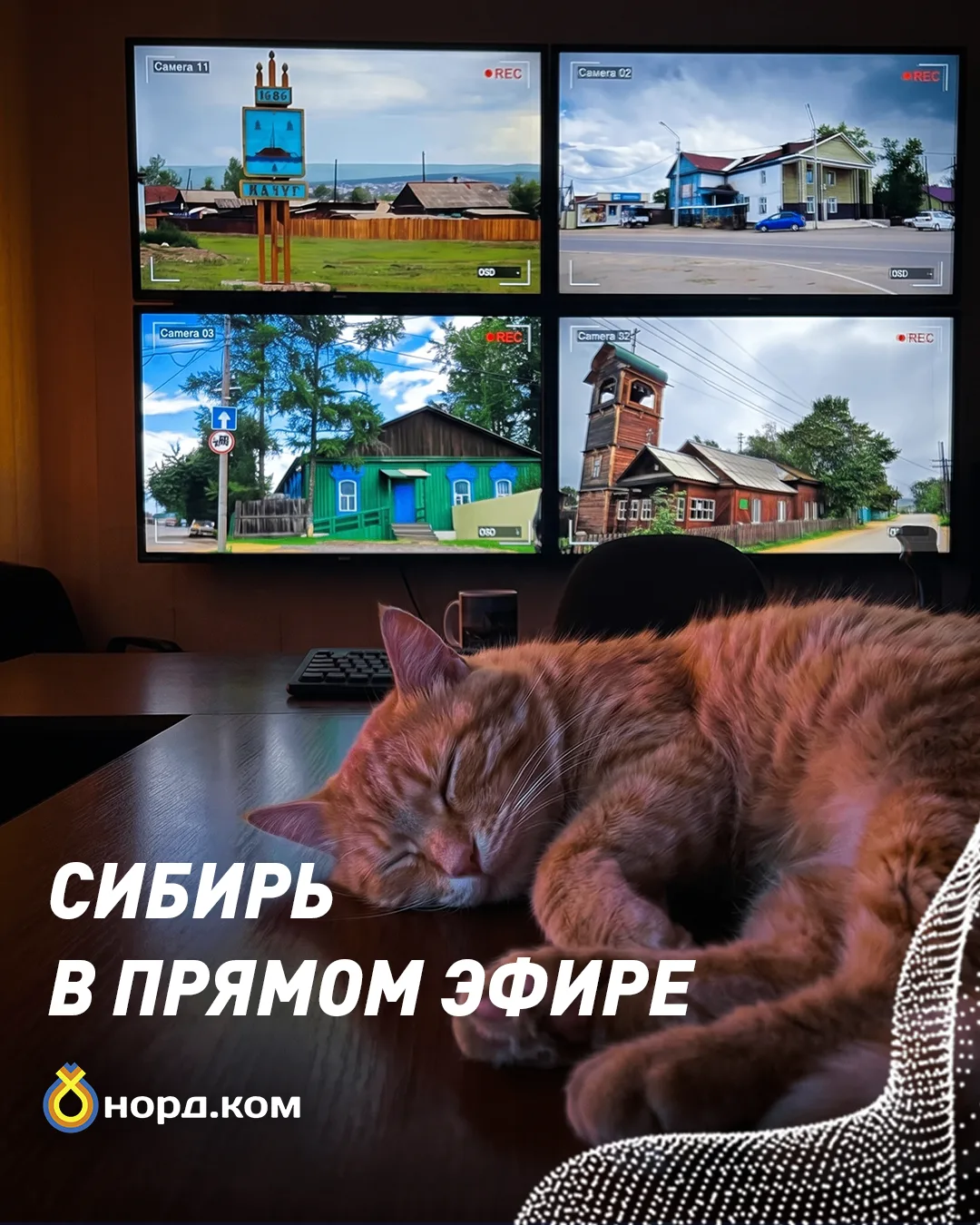Так спит кот, когда знает, что в Качуге все спокойно: магазин открыт, автобус пришел во...
