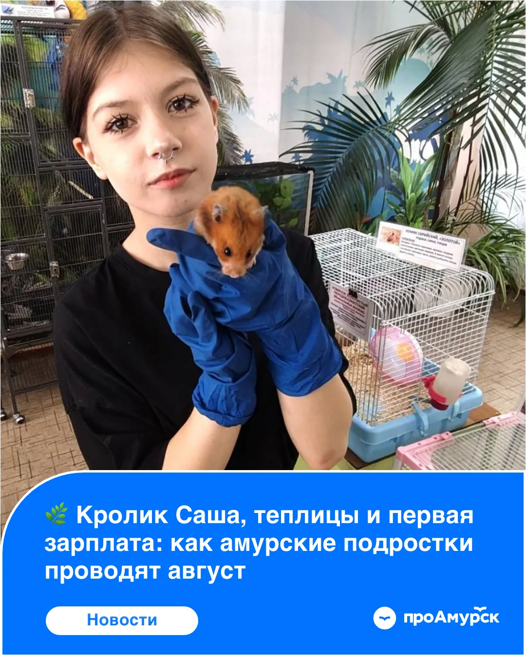 Пока одни школьники отдыхают в последние недели каникул, девять амурских подростков каж...